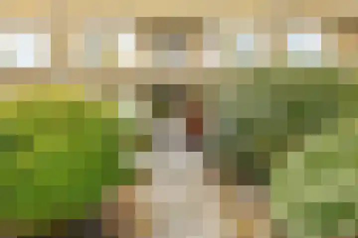 Haydnlaan 3 b Groningen thumbnail 10