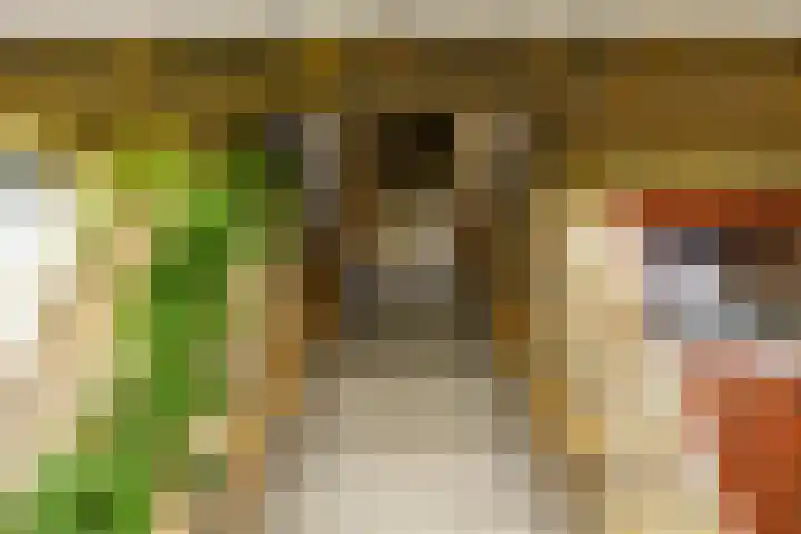 Haydnlaan 3 b Groningen thumbnail 11
