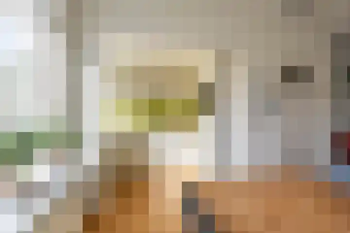Haydnlaan 3 b Groningen thumbnail 21