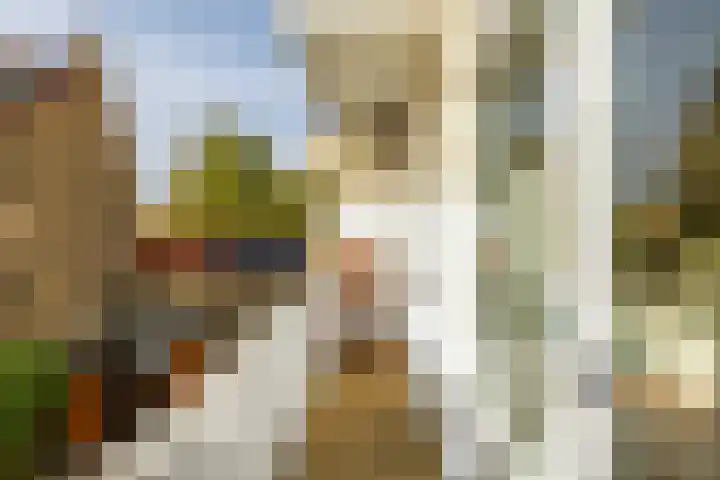 Haydnlaan 3 b Groningen thumbnail 27
