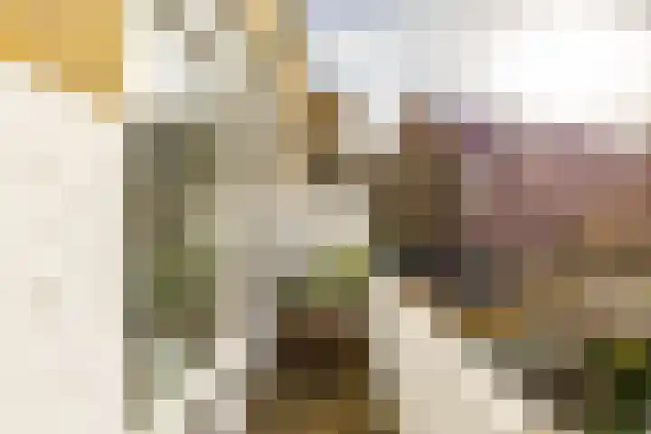 Haydnlaan 3 b Groningen thumbnail 28