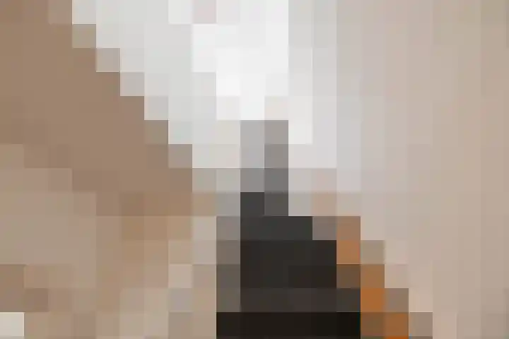 Haydnlaan 3 b Groningen thumbnail 30