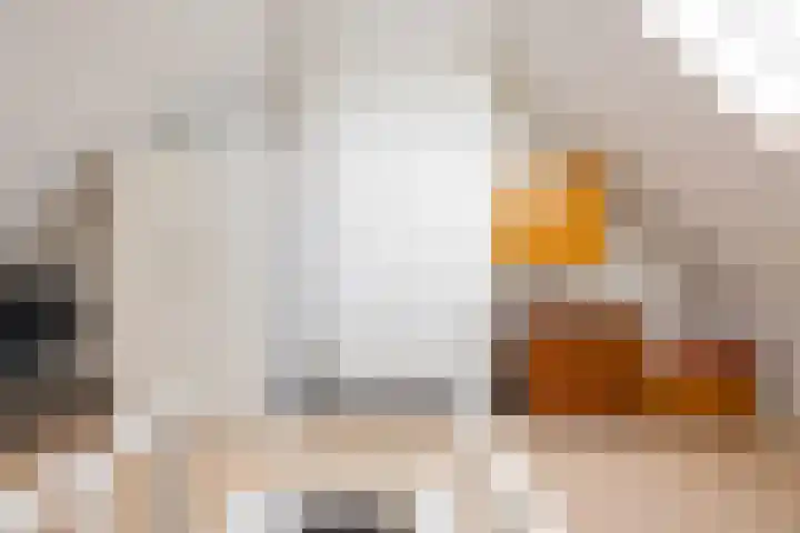 Haydnlaan 3 b Groningen thumbnail 46