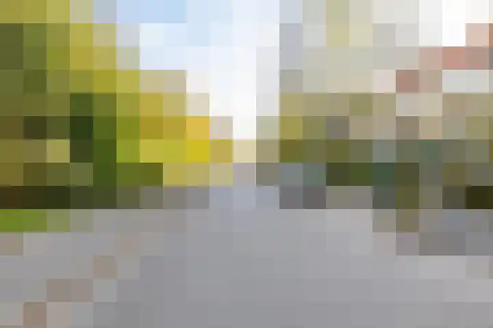 Haydnlaan 3 b Groningen thumbnail 52