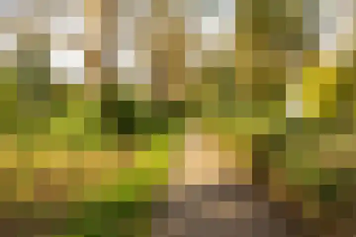 Haydnlaan 3 b Groningen thumbnail 53