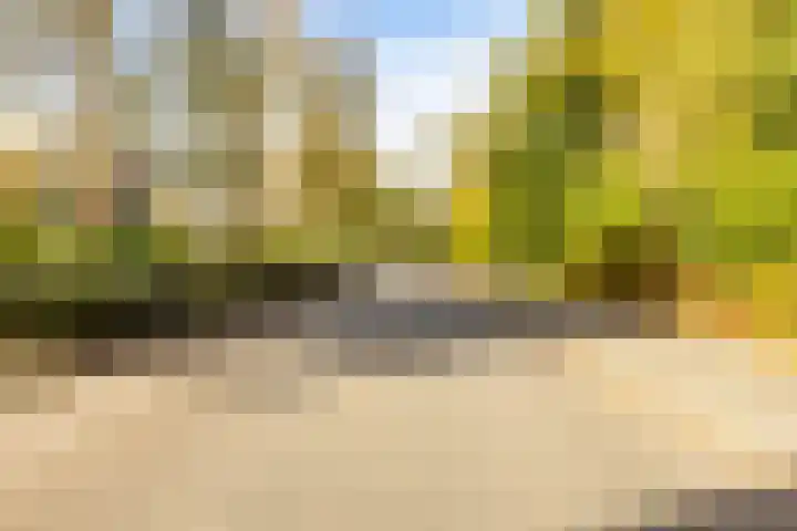 Haydnlaan 3 b Groningen thumbnail 54