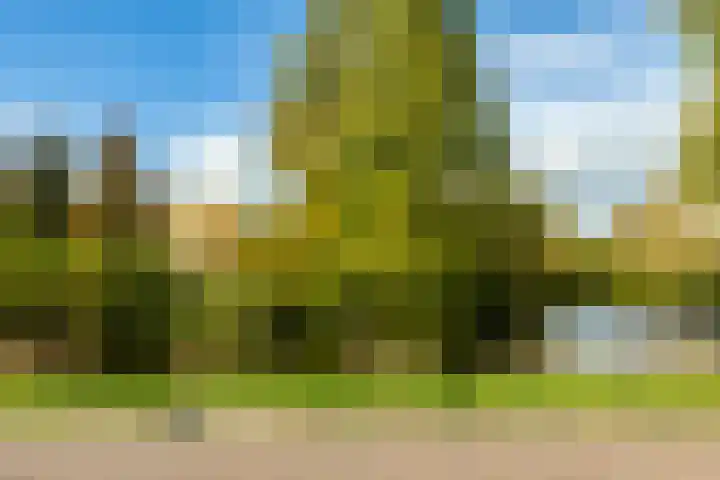 Haydnlaan 3 b Groningen thumbnail 55