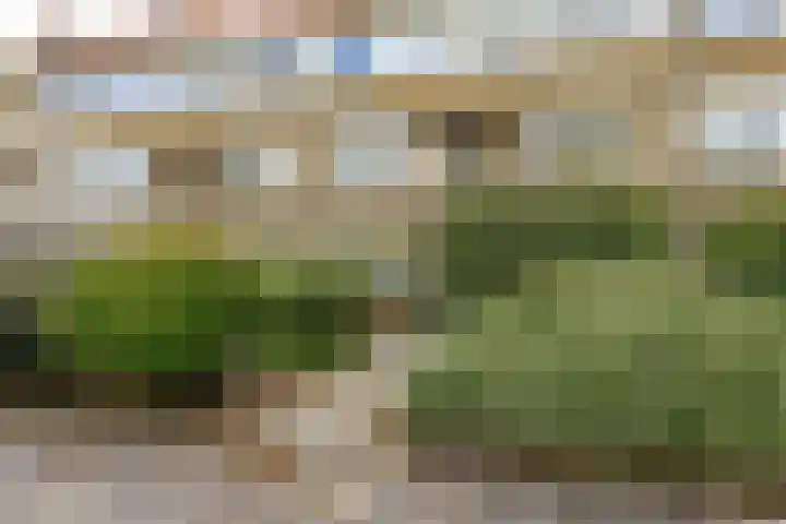 Haydnlaan 3 b Groningen thumbnail 8