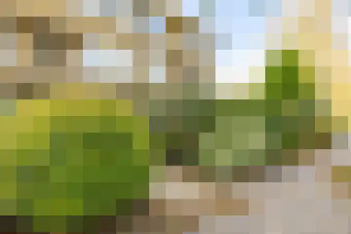 Haydnlaan 3 b Groningen thumbnail 9