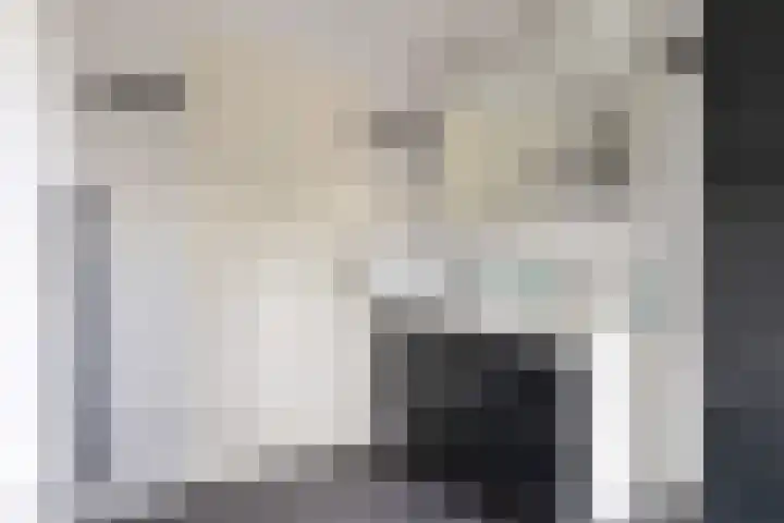 Haydnlaan 40 Bilthoven thumbnail 40