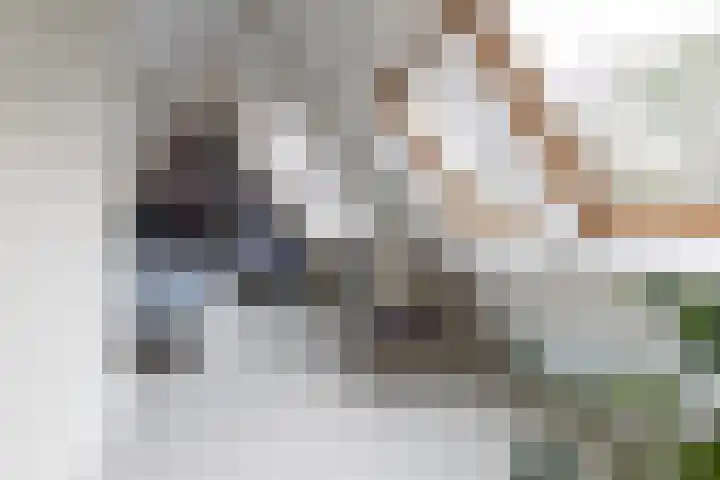 Haydnlaan 40 Bilthoven thumbnail 42
