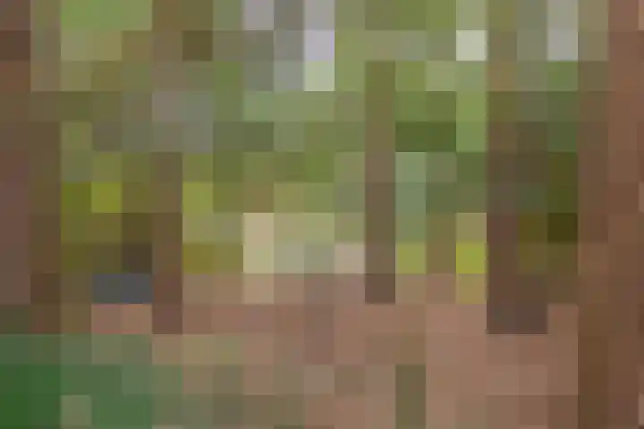 Haydnlaan 40 Bilthoven thumbnail 50