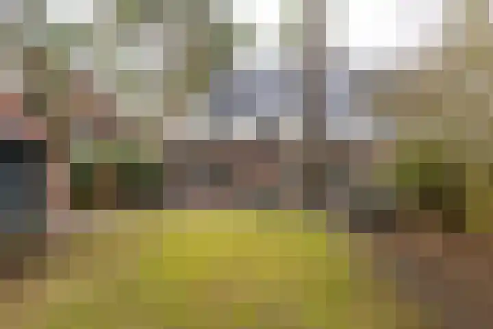 Haydnlaan 40 Bilthoven thumbnail 51