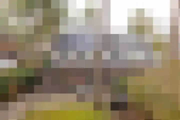 Haydnlaan 40 Bilthoven thumbnail 52