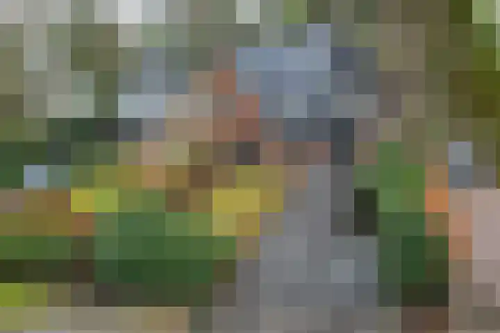 Haydnlaan 40 Bilthoven thumbnail 55