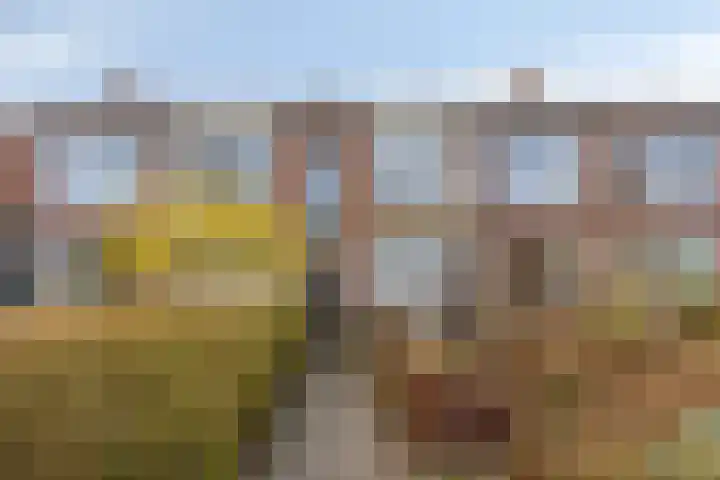 Haydnlaan 45 Groningen thumbnail 10