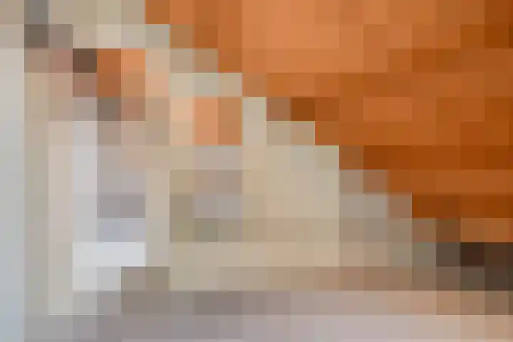 Haydnlaan 45 Groningen thumbnail 28