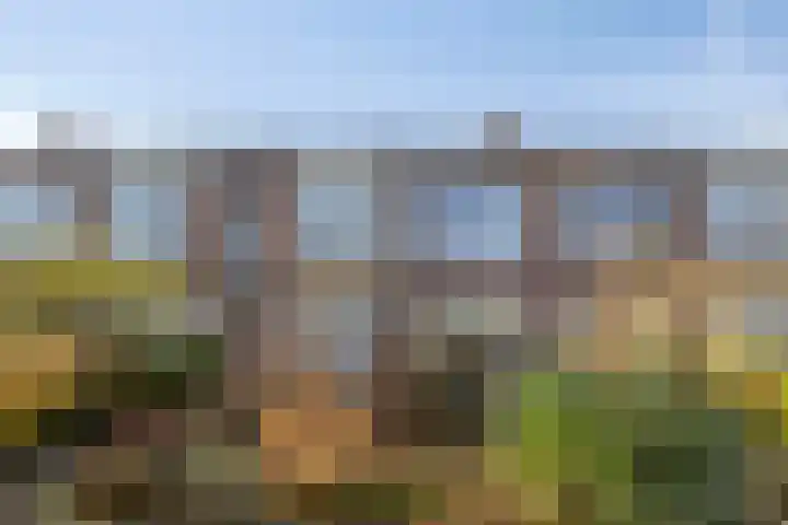 Haydnlaan 45 Groningen thumbnail 7