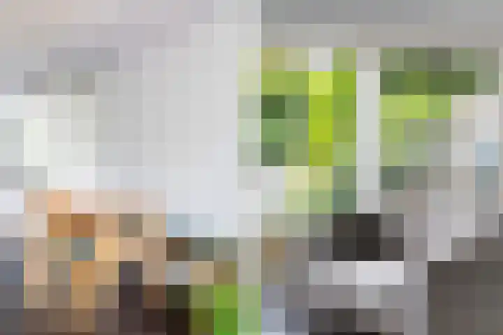 Haydnlaan 7 Maassluis thumbnail 10