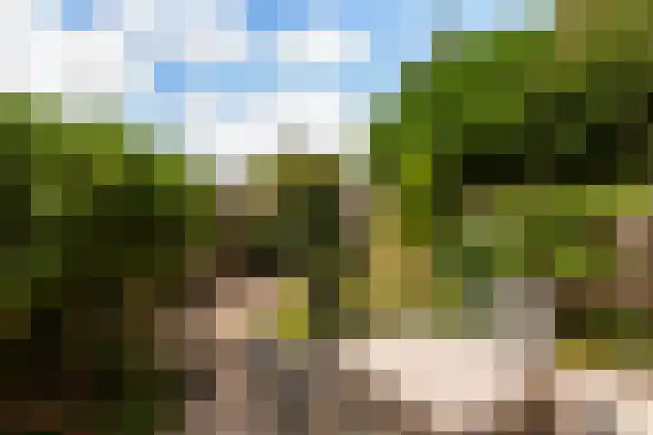 Haydnlaan 7 Maassluis thumbnail 16