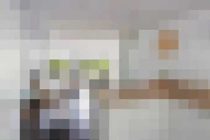 Haydnlaan 7 Maassluis thumbnail 25