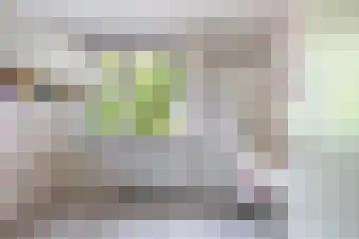 Haydnlaan 7 Maassluis thumbnail 27