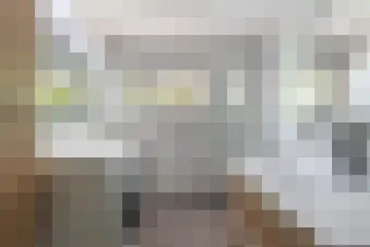 Haydnlaan 7 Maassluis thumbnail 35