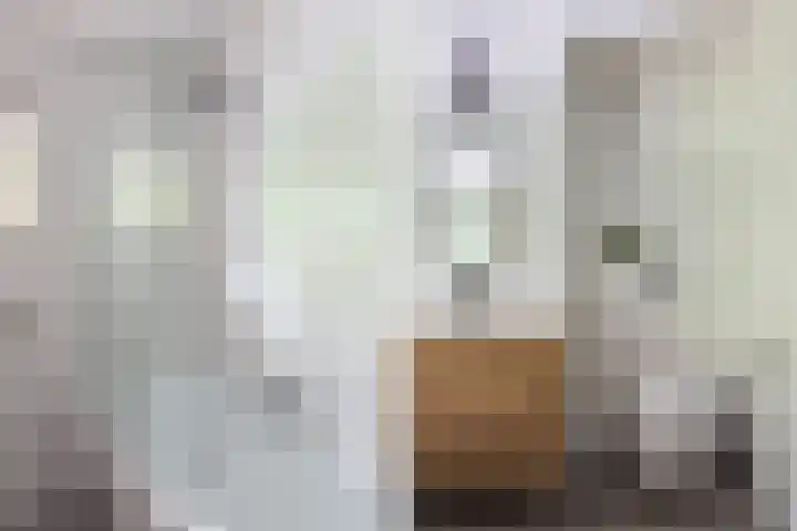Haydnlaan 7 Maassluis thumbnail 36