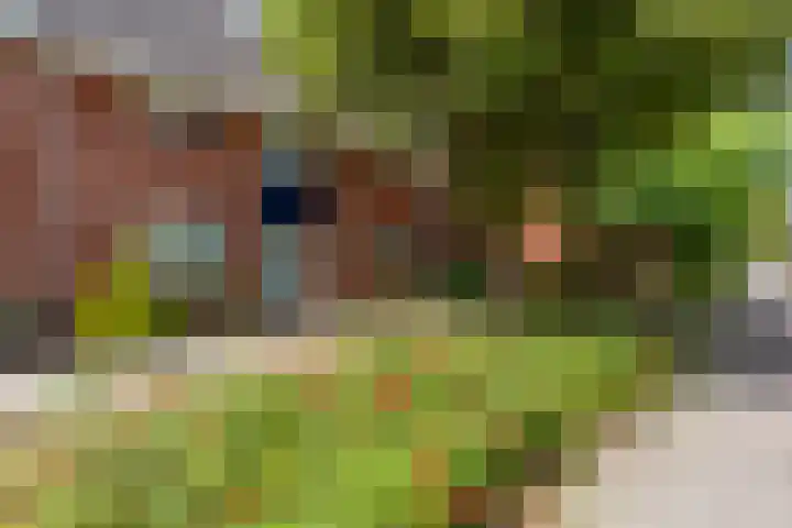 Haydnlaan 7 Maassluis thumbnail 6