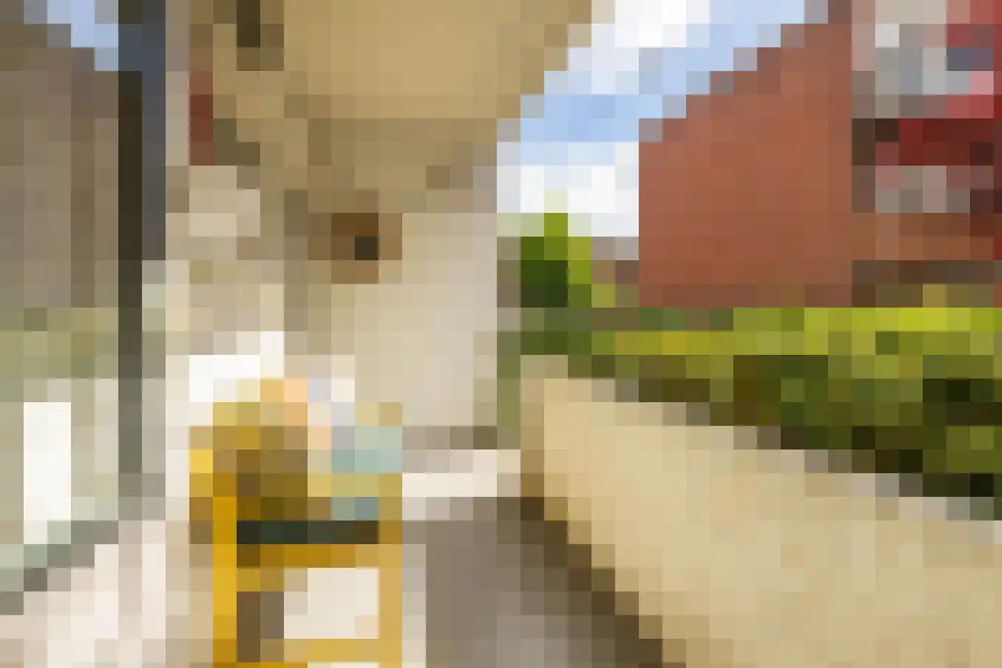 Haydnlaan 77 Groningen thumbnail 26