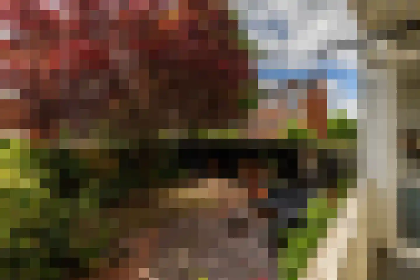 Haydnlaan 77 Groningen thumbnail 27