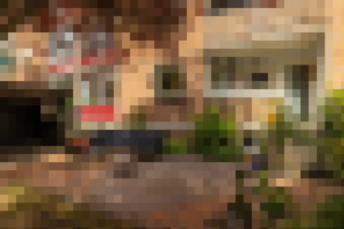 Haydnlaan 77 Groningen thumbnail 29