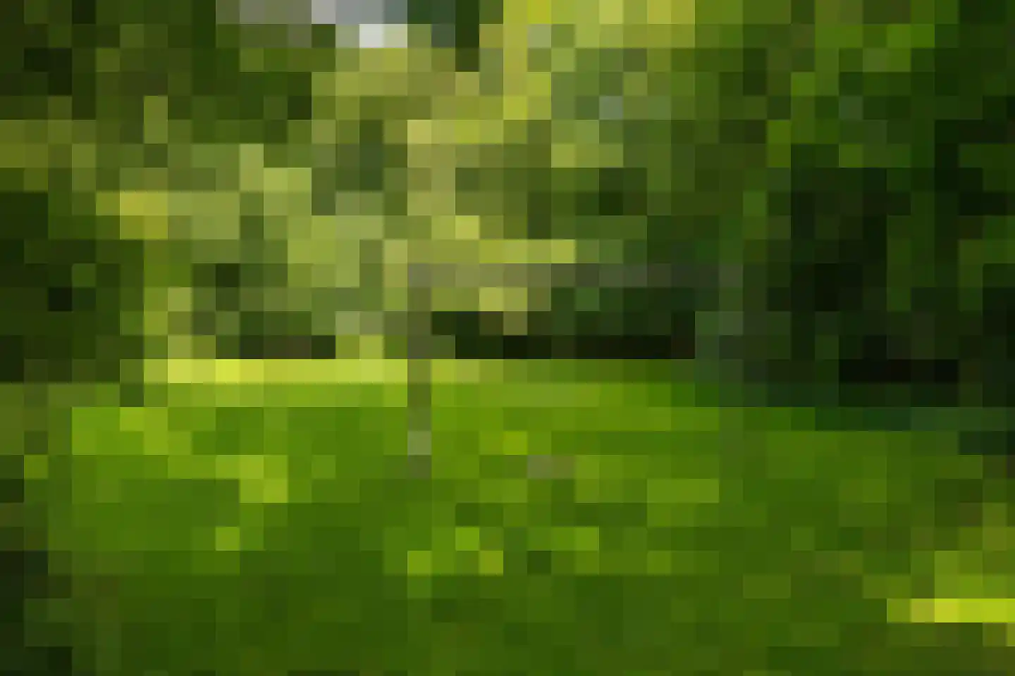 Haydnlaan 77 Groningen thumbnail 32