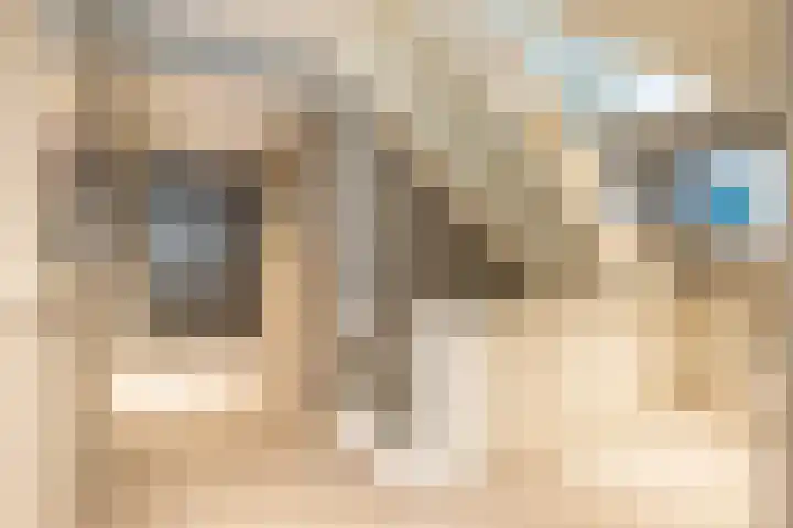 Haydnlaan 8 Breda thumbnail 20