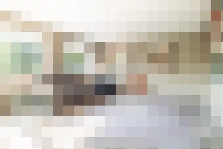 Haydnlaan 8 Breda thumbnail 27