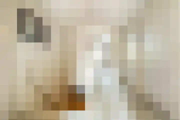 Haydnlaan 8 Breda thumbnail 28