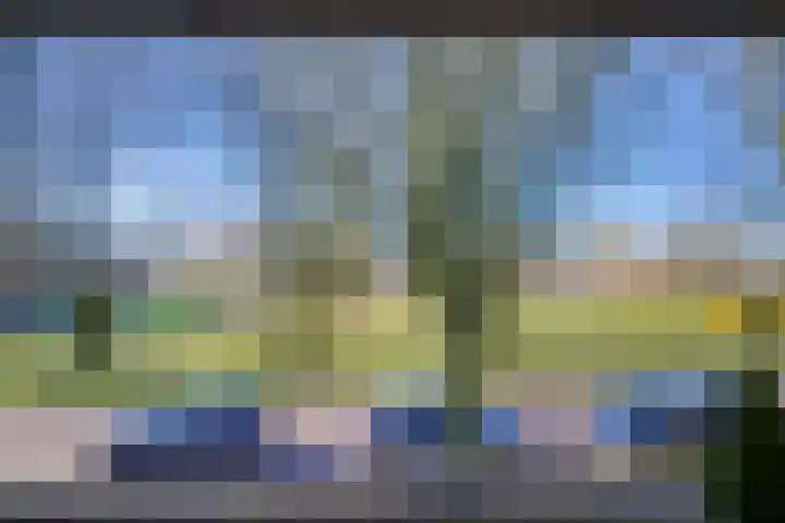 Haydnlaan 8 Breda thumbnail 31