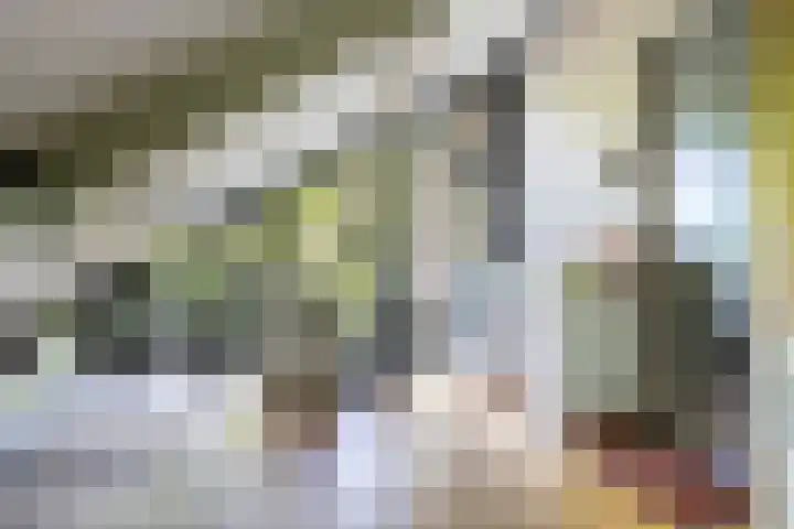 Haydnlaan 8 Breda thumbnail 35