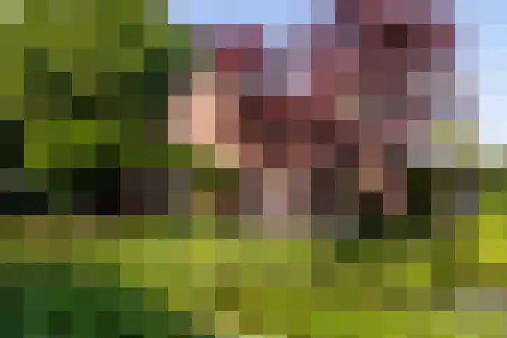 Haydnlaan 8 Breda thumbnail 39
