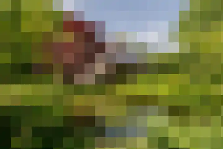 Haydnlaan 8 Breda thumbnail 44
