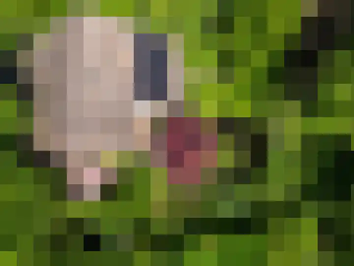 Haydnlaan 8 Breda thumbnail 45