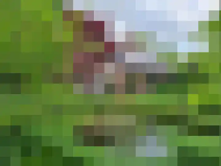 Haydnlaan 8 Breda thumbnail 47