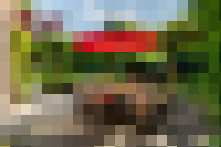 Haydnlaan 8 Breda thumbnail 6