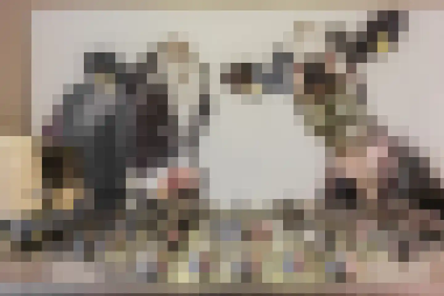 Haydnlaan 8 Waalre thumbnail 21