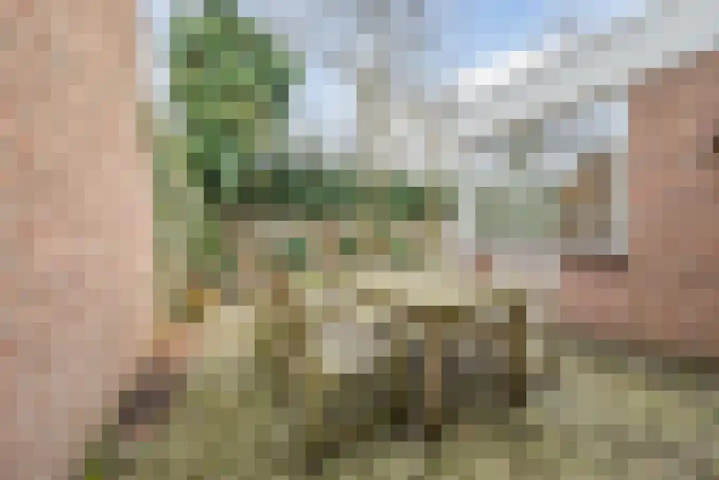 Haydnlaan 8 Waalre thumbnail 41
