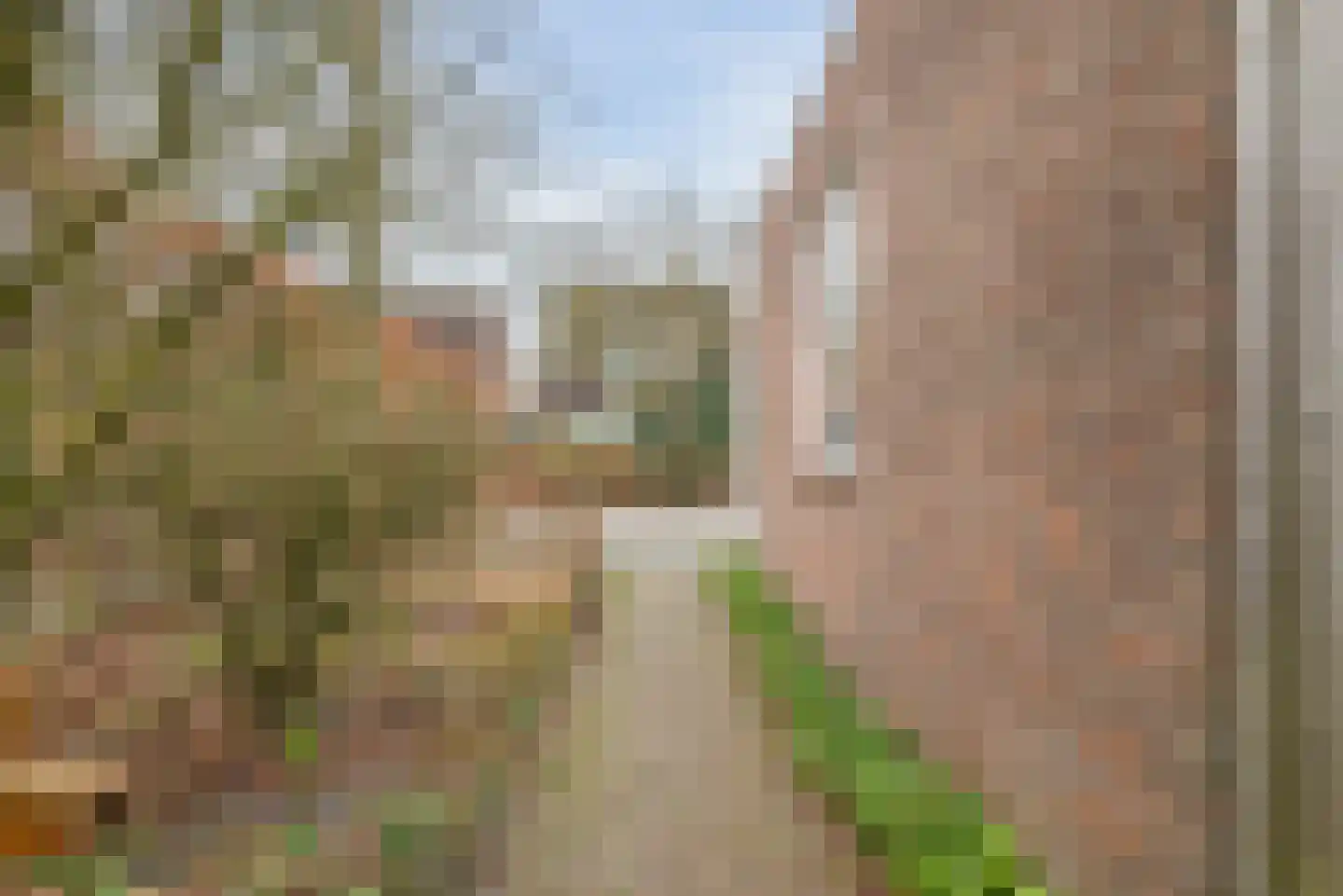 Haydnlaan 8 Waalre thumbnail 45