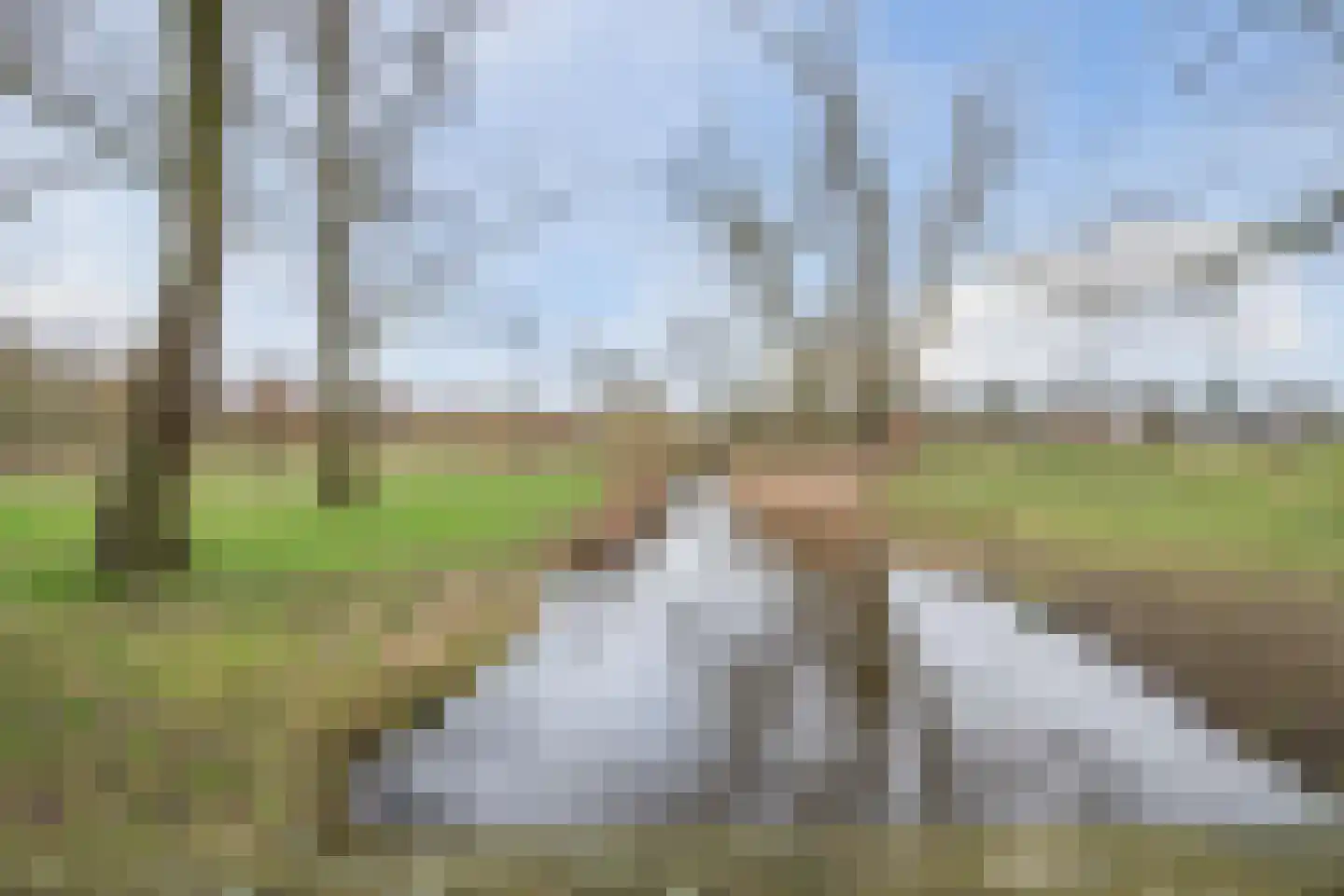 Haydnlaan 8 Waalre thumbnail 49