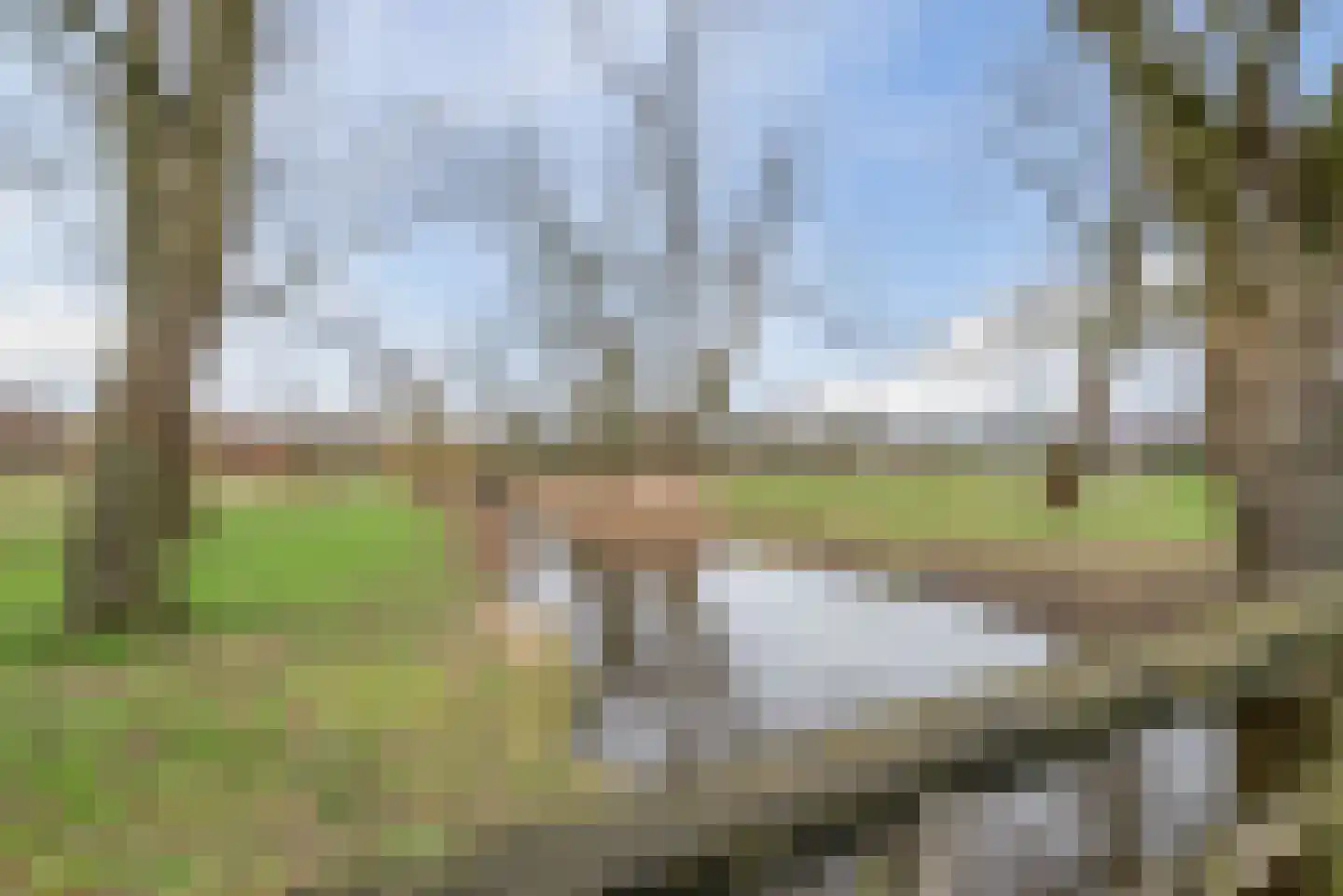 Haydnlaan 8 Waalre thumbnail 50