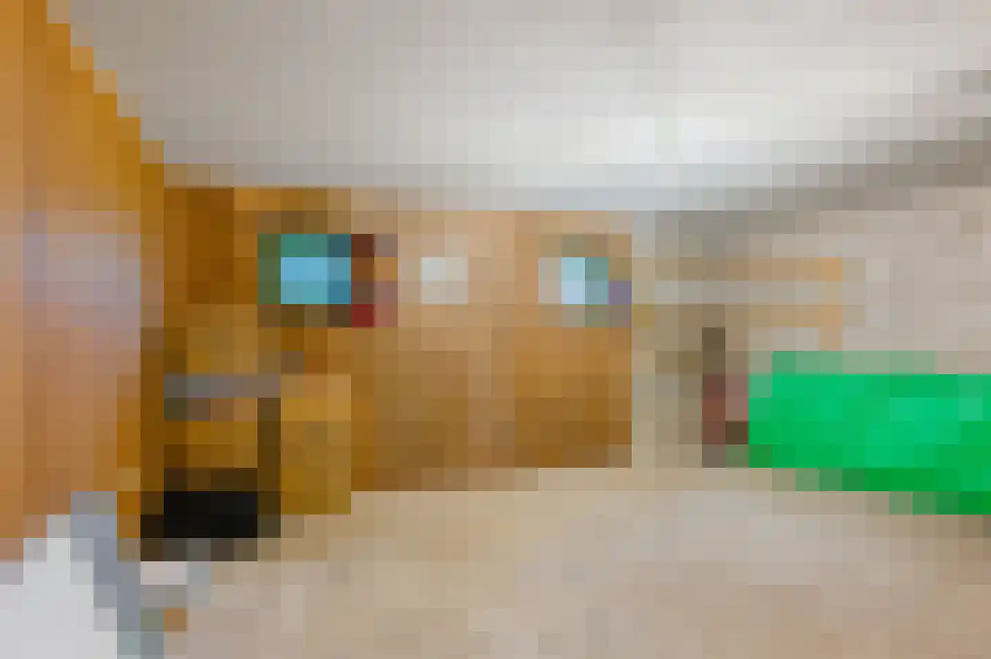 Haydnlaan 81 Groningen thumbnail 27