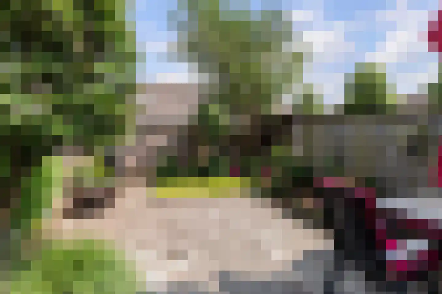 Haydnplantsoen 100 Almere thumbnail 15
